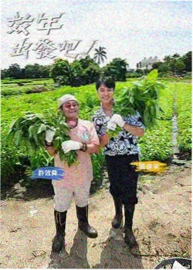 图鉴卡片:共同观看与暂停约定的写法
